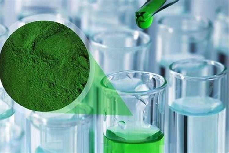 小球藻在家怎么培养