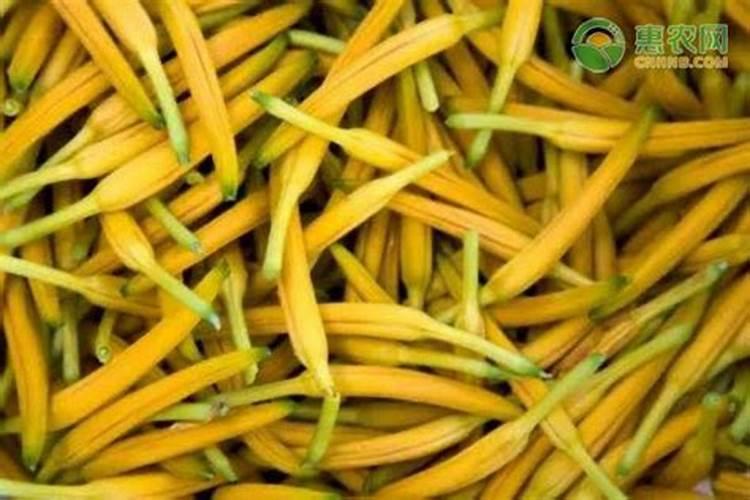 黄花菜叶斑病危害叶面,黄花菜叶斑病该怎么防治？