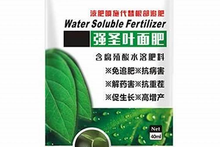 兰花用什么叶面肥最好？
