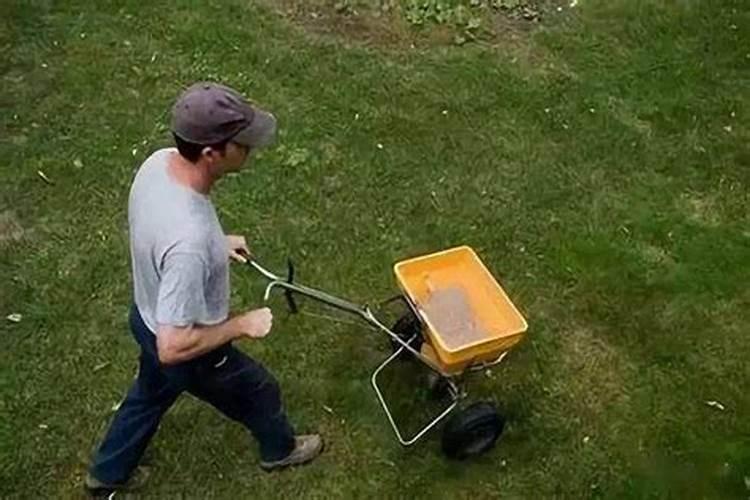 在养花时如何使用磷肥