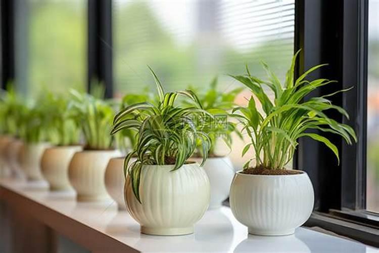 常见的氮肥有哪些？