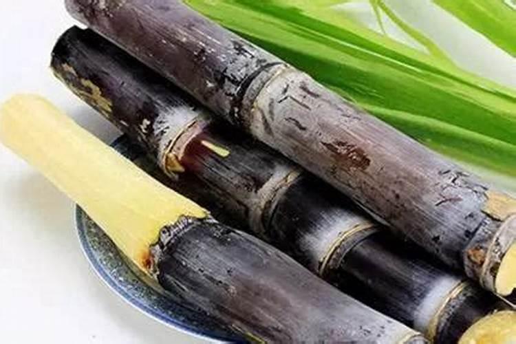 怎样种甘蔗增强甜度？用亚磷酸钾有用吗