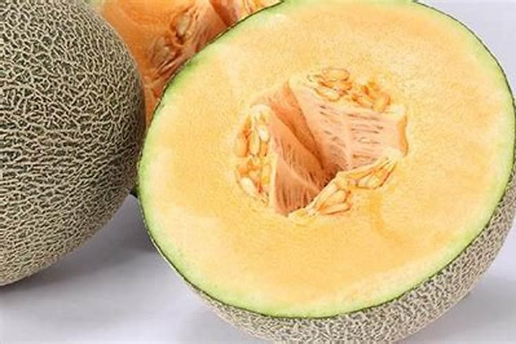 哈密瓜种植方法