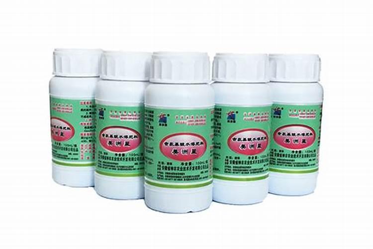 各位老师水稻叶片发红是怎么回事