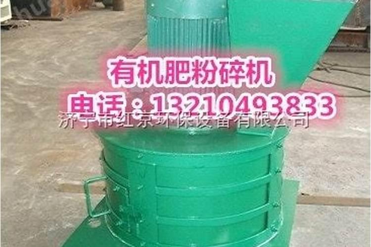 三角梅光杆发芽后能晒太阳吗,三角梅隔着玻璃晒太阳