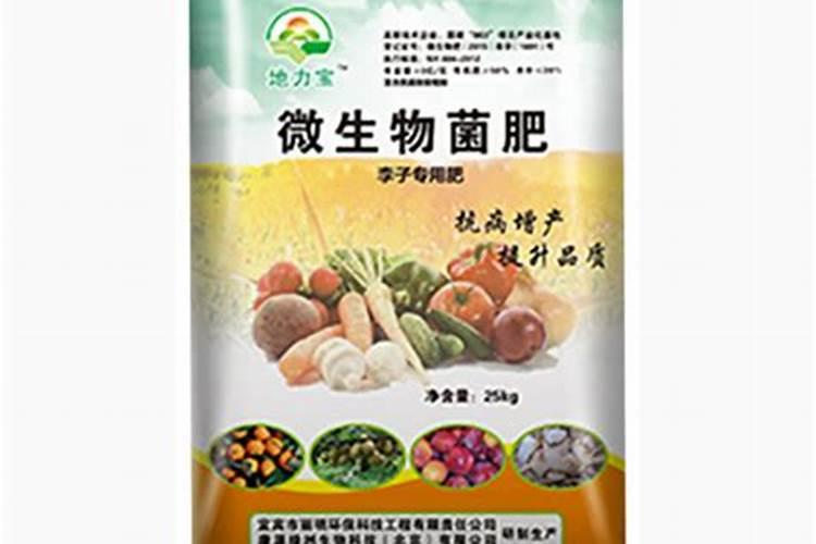 安哥诺李子施肥时间表