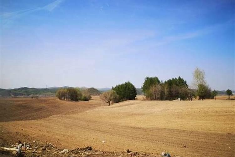 黄土地为什么容易裂？