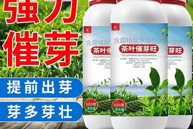 猕猴桃萌芽肥施什么肥最好