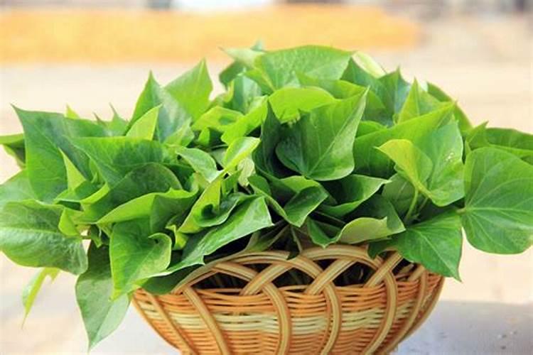 红薯生长后期适当喷施叶面肥,都有哪些作用？