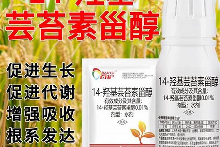 上海拜润芸乐收怎么样