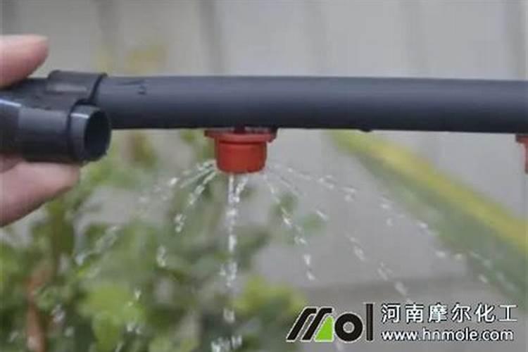 怎么鉴别进口水溶肥的真假