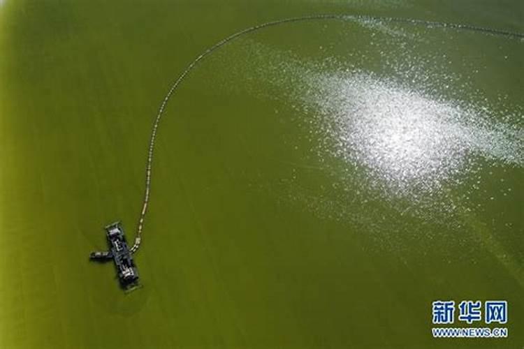 国投罗钾如何通过创新破解钾肥 “卡脖子” 难题？