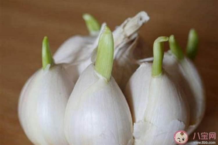 氮肥多久浇一次水