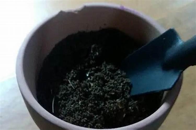 加拿大有哪些产品出口到中国的？