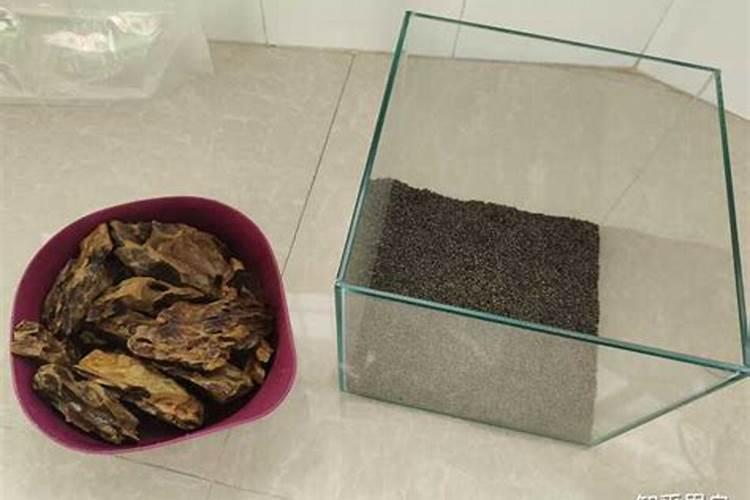 鱼塘放牛粪多了会死鱼苗吗