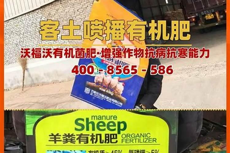 网购小木槿怎么处理 方法是什么