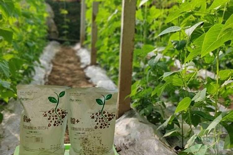 微生物菌剂可以和大量元素水溶肥用吗