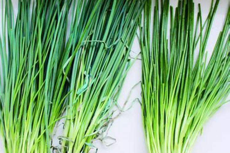 小葱用什么叶面肥好？