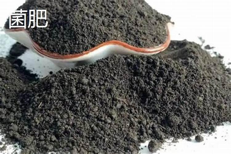 种植作物使用微生物菌肥的作用都有哪些？