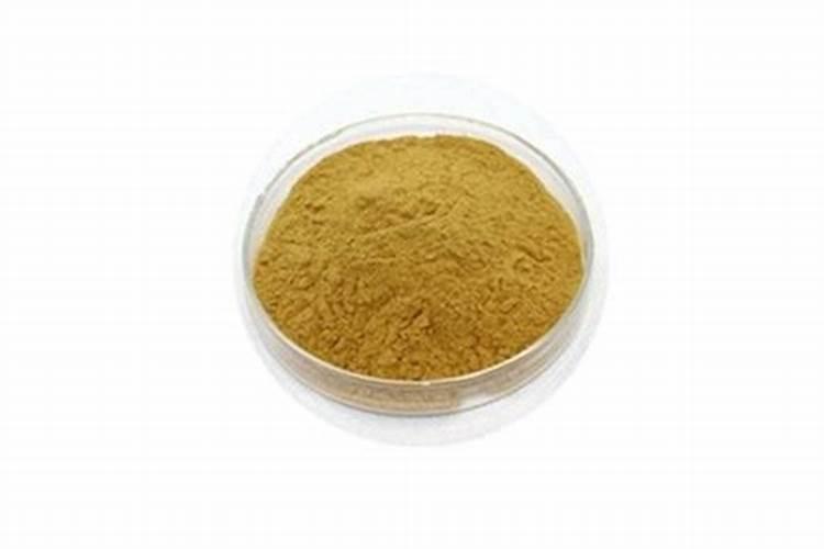枯草芽孢杆菌可以加海藻多肽鱼蛋白吗？