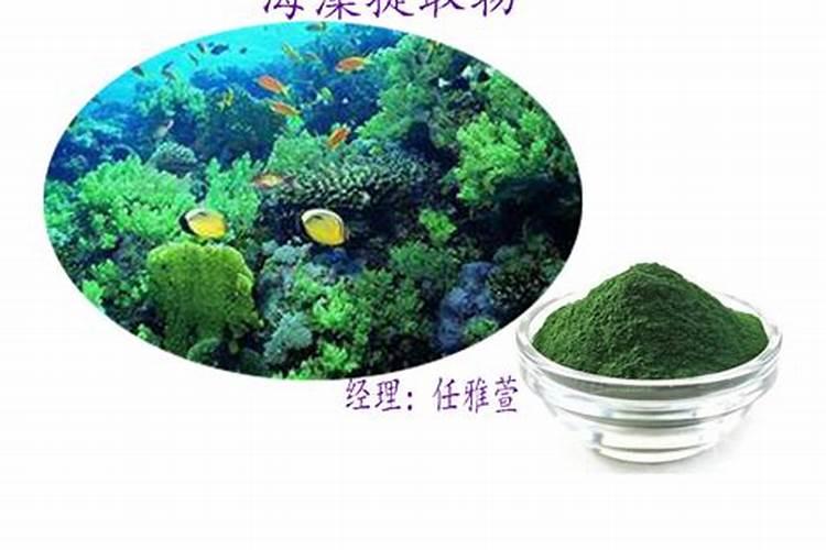 什么是鱼蛋白肥料,鱼蛋白肥料作用及使用方法