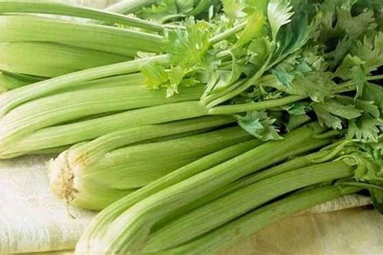 芹菜是什么季节的？