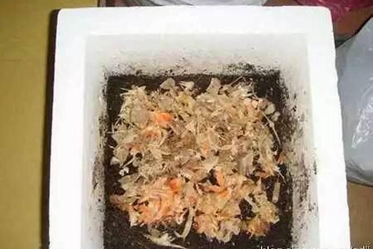 树叶沤肥最快方法