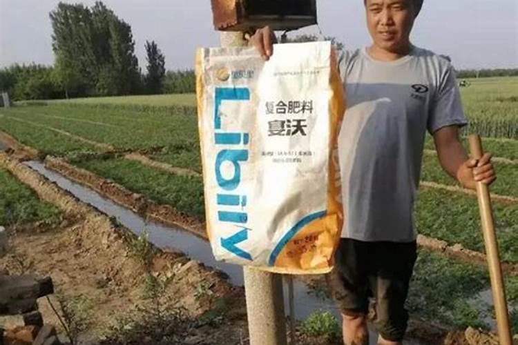 钾肥怎么施效果好