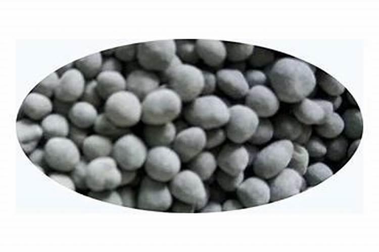 种白菜用什么肥料好