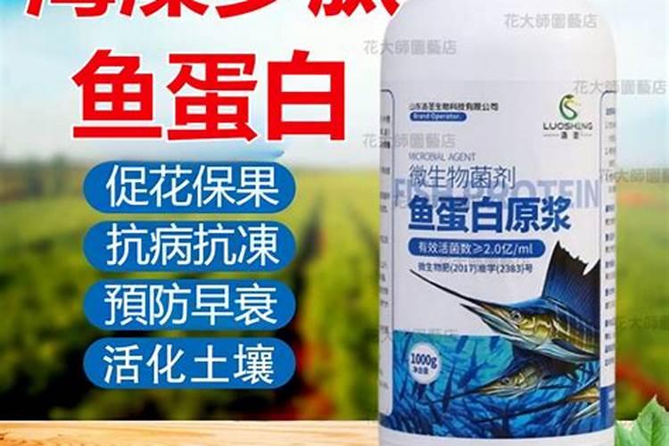 鱼蛋白肥料哪个品牌好
