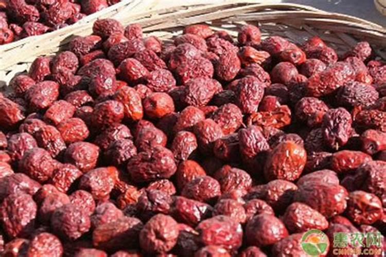 红枣膨大期是几月份