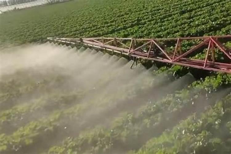 那些蔬菜可以用叶面肥