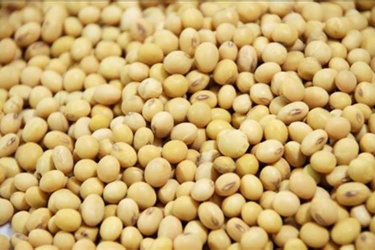 种大豆用多少肥,具体量。