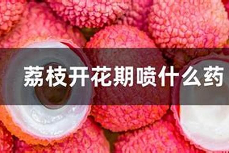 荔枝花雷打什么叶面肥？