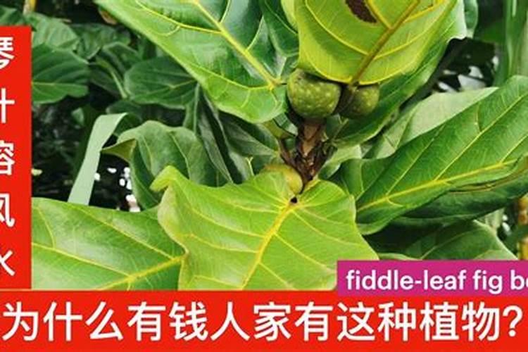 胡萝卜出苗后地硬最简单三个步骤