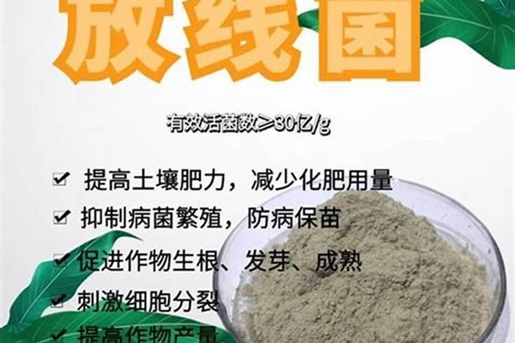 氮磷钾肥分别有什么作用