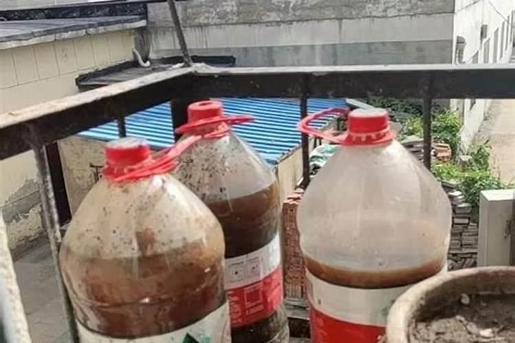 养花什么时候施肥最好  给花施肥的正确方法