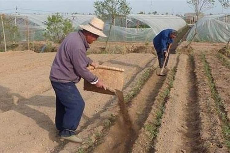 磷肥与磷酸二氢钾区别