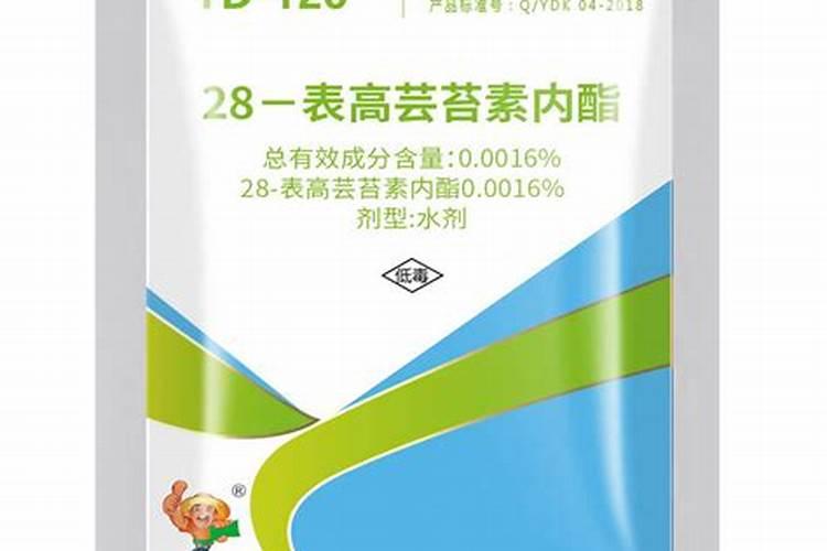 君子兰浇什么肥？