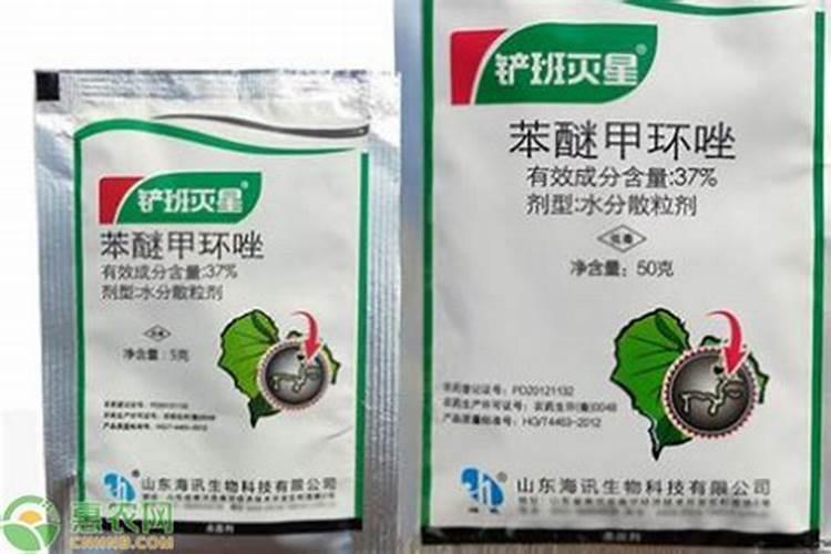 黄瓜结果期怎么施肥