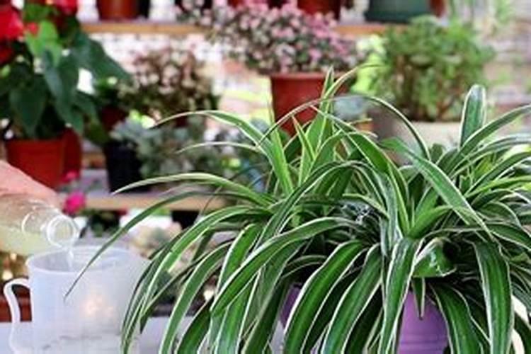 到底是半导体复合材料还是复合半导体材料