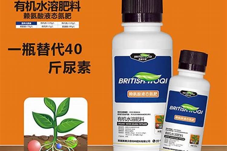 黄杨怎么浇水施肥