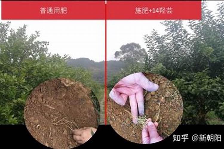 基肥名词解释