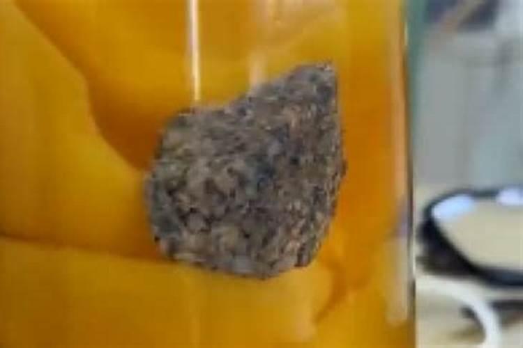 黄桃与水蜜桃区别 黄桃与水蜜桃哪个好