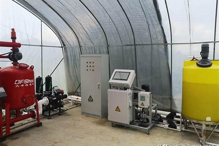 种花需要哪些肥料才能种得更好？