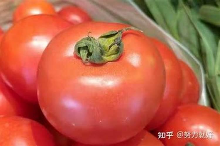 在选择叶面肥时想要辨别真假,都有哪些科学的识别方法？