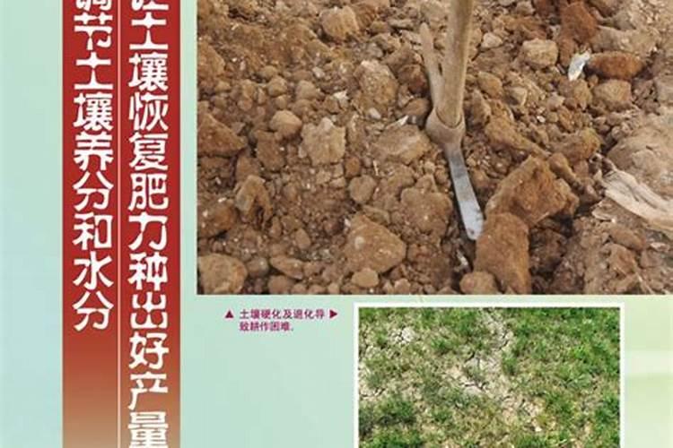 种玉米控释肥一定比复合肥好？别花“冤枉”钱,两者有哪些区别？