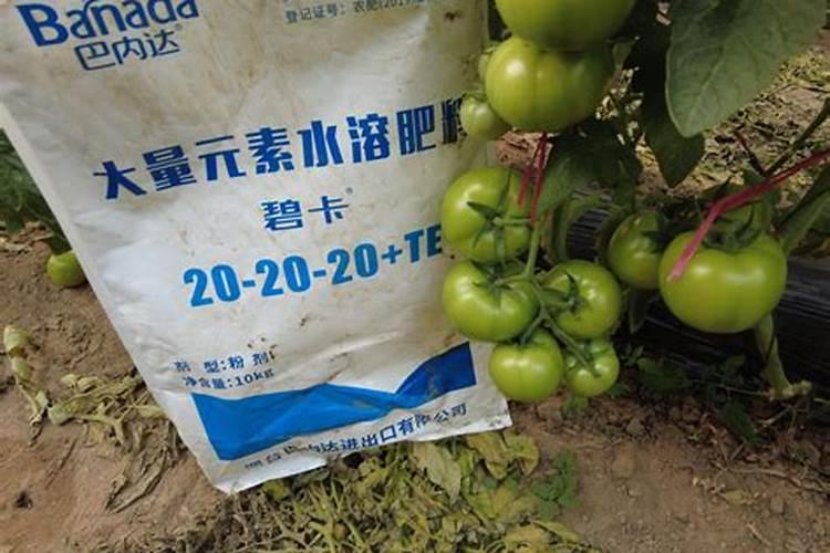 25年小麦的追肥最佳时间