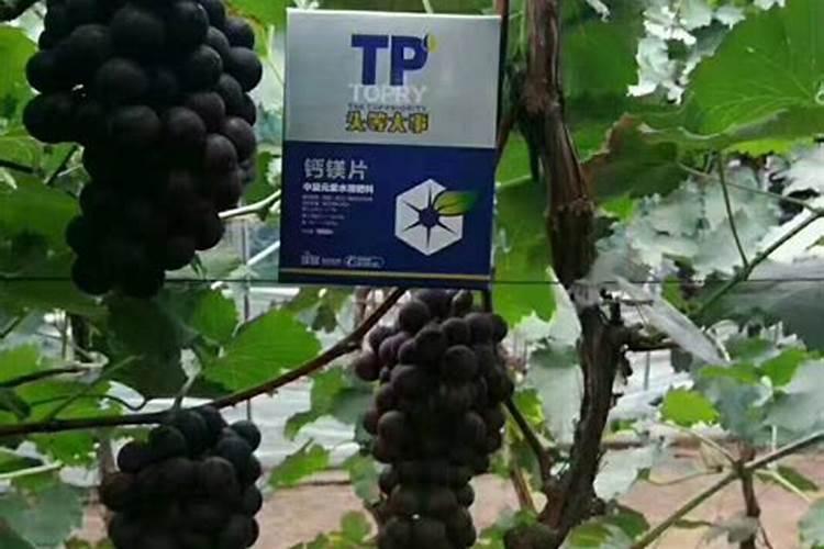 有机肥,水溶肥和微生物肥制造需要许可证吗