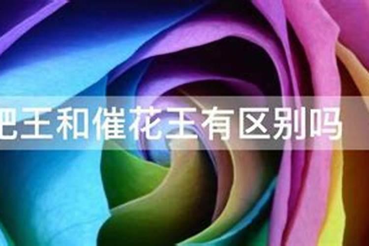 什么是缺素症 果树缺素症状及解决方法